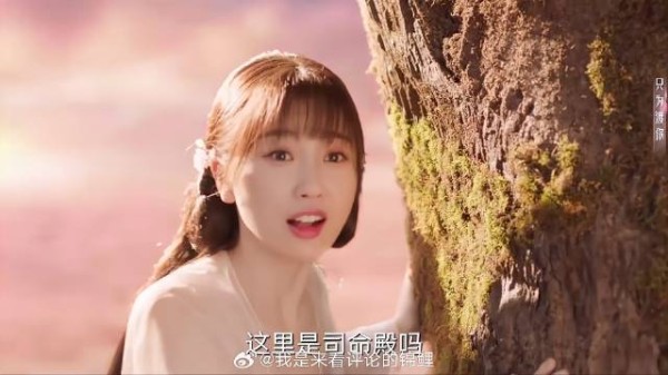 东方青苍为哄小兰花开心 为她建一座司命殿,太奢侈