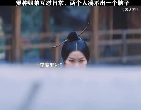 姐弟互怼日常,两个人凑不出一个脑子!