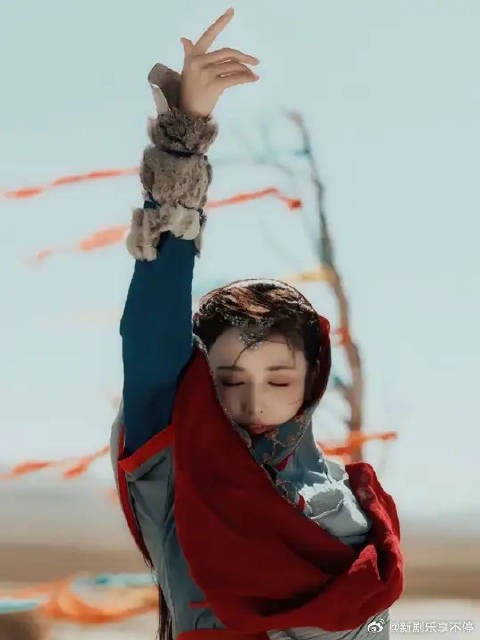 小枫永远都是丹蚩和西州最尊贵的小公主，是铁达尔王最最珍视的掌上明珠！
