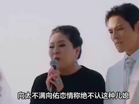 向太自曝逼向佑分手，坦言为护子操心