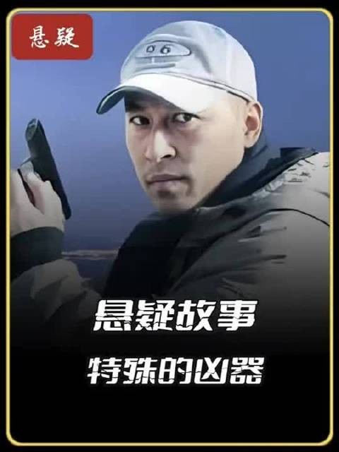凶手根据小说情节，竟制作出完美的杀人凶器