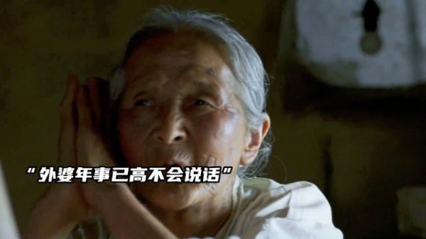 城市小孩回乡无法适应,外婆用爱包容了他的任性!
