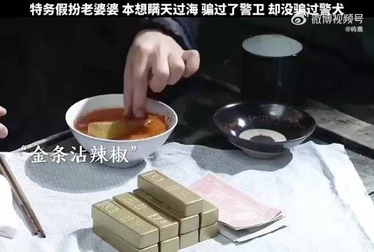 “瞒过了所有人，唯独没有瞒过狗的鼻子！”