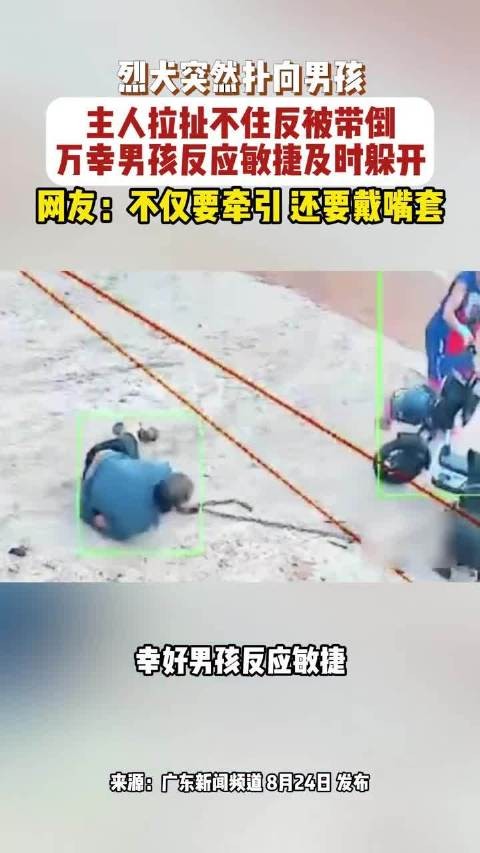 猎犬扑向小男孩主人拖拽反被带倒