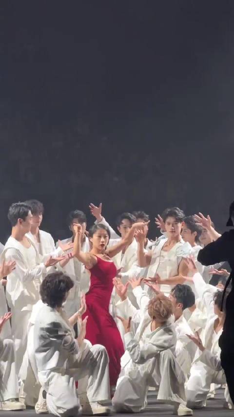 真就第一排不养闲人啊 一个女网友在观看舞团表演时…