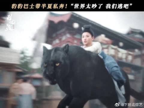 专属段半夏的久宣夜牌豹豹巴士出动啦！