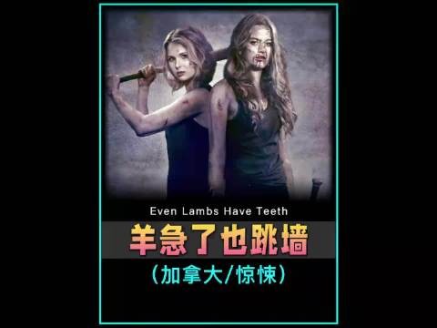 别惹看似柔弱的女孩,因为兔子急了会咬人,羊急了也跳墙