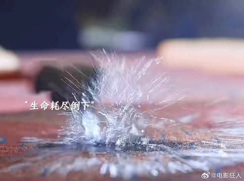 白菜临死前想与伍庚举行一场婚礼可终究还是没等到