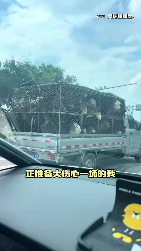 原来是凤銮春恩车啊!