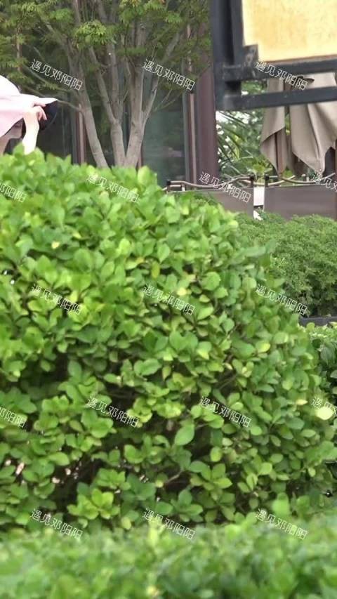 景甜事件后首现身，素颜运动装状态松弛