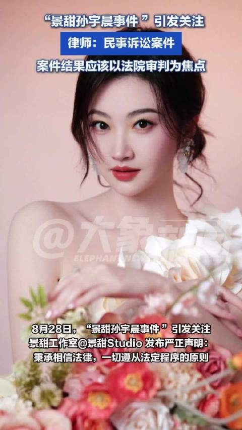 景甜孙宇晨案不是谁小作文长谁有理 律师:案件的结果应该以法院审判为准