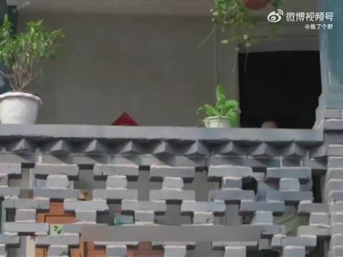 奶奶让孙子吃饺子,父亲发现不对劲,这下惨了