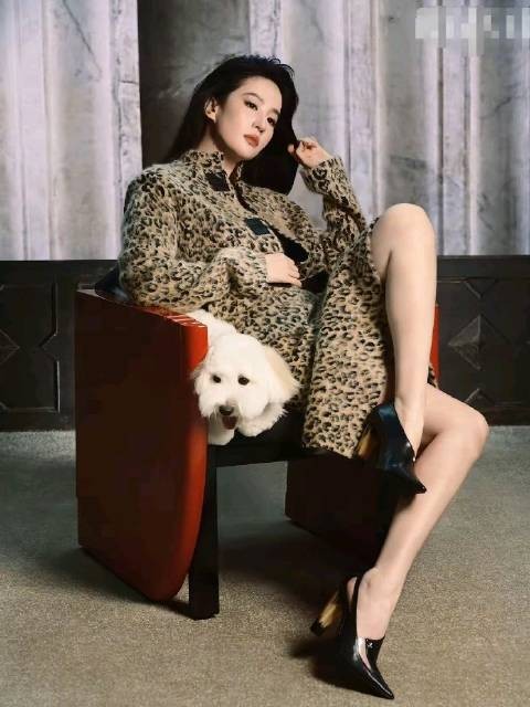 我发现， 刘亦菲有个严重的问题， 如果不改掉会吃大亏， ​那就是…