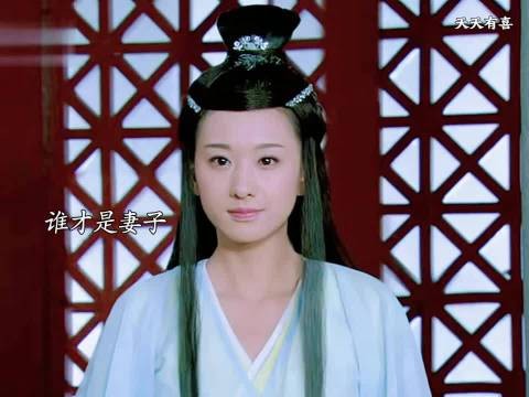 无情仙子改变妻子样貌,刘枫寻回真正妻子