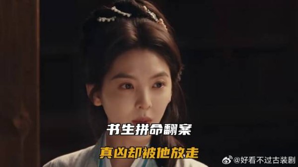 书生拼命翻案,真凶却被他放走