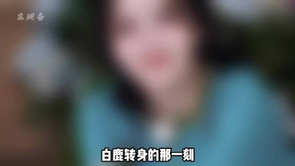 刘些宁拥抱安慰白鹿,李晨郑恺眼眶湿润
