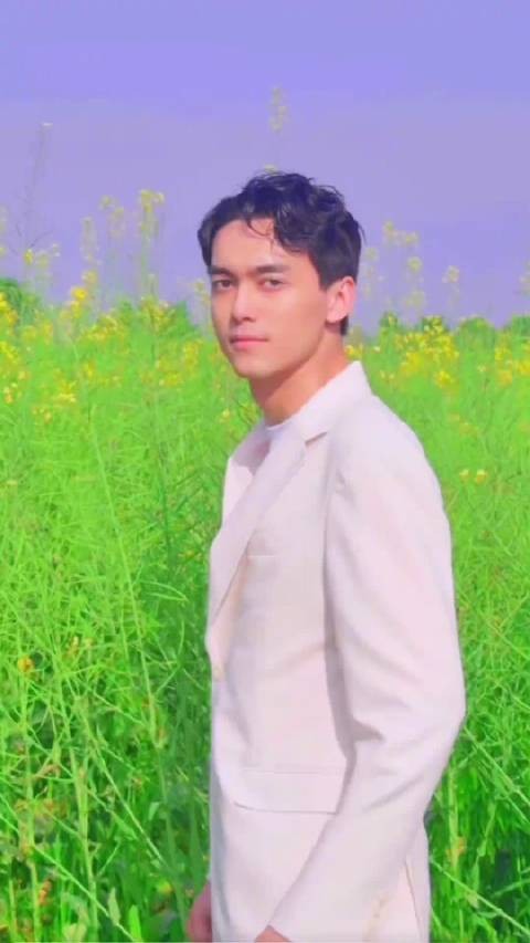 张呈油菜花梗开启史上最长宣发期