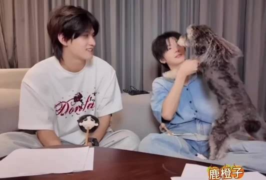 给小高羡慕坏了,至于是羡慕star有普普抱还是羡慕普普有star抱就不知道了