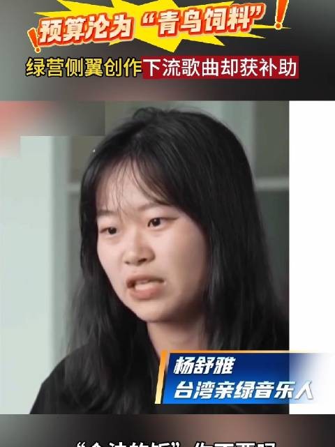 台文化部门高额补助争议歌手 舆论批预算沦为“青鸟饲料费”