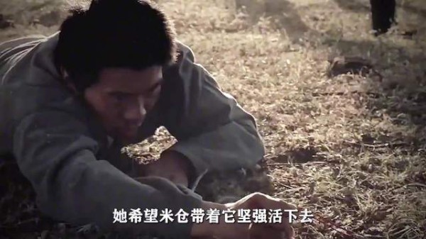 新婚之夜女子以死相逼,心上人持信物破窗抢亲
