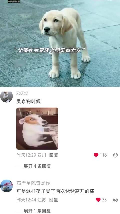 狗是人类最忠诚的朋友 再见,李可乐|谭松韵|闫妮|吴京|电影
