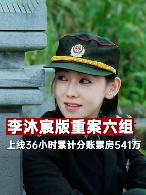 李沐宸版重案六组收视如何