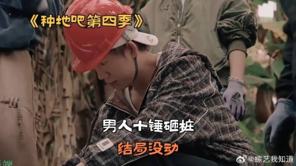 男人十锤砸桩,结局没动