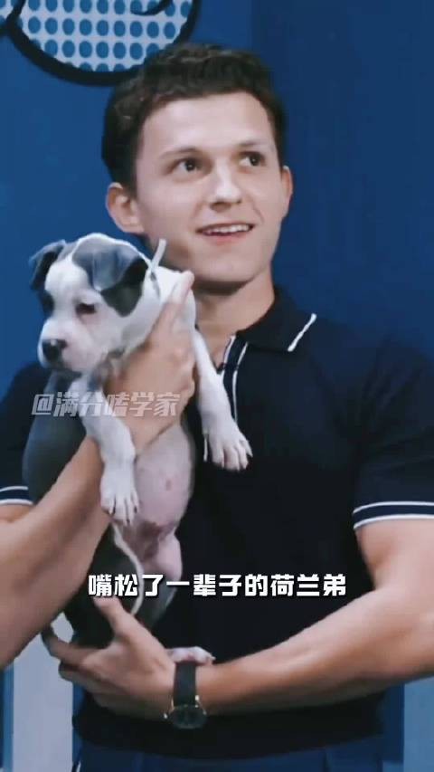 总被调侃爱剧透的荷兰弟对于自己的婚礼愣是没走漏半点