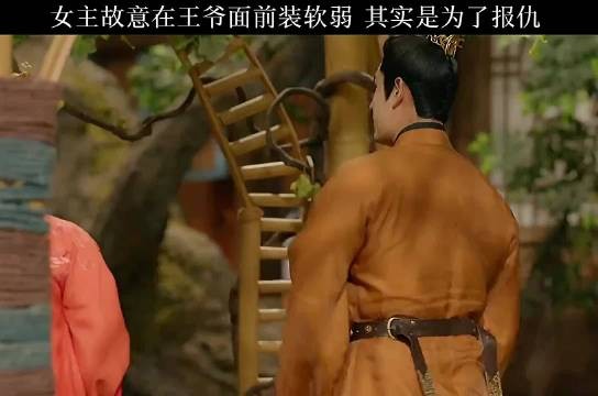 女主不对自己狠点，怎么报仇