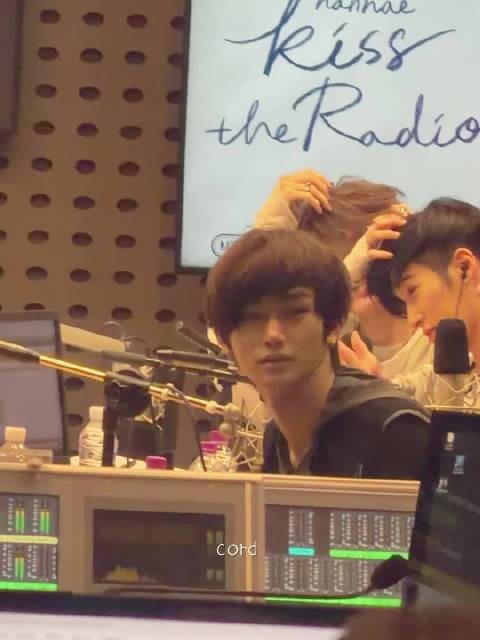 安心是小狗…小狗猫?! cr. xintacord