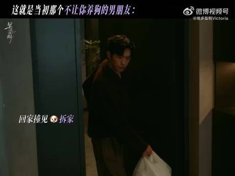 卢克骂骂咧咧嫌弃小狗,见其装可怜又心软宠成宝贝