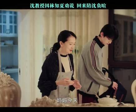 沈教授因林知夏劝说 回来陪沈负暄