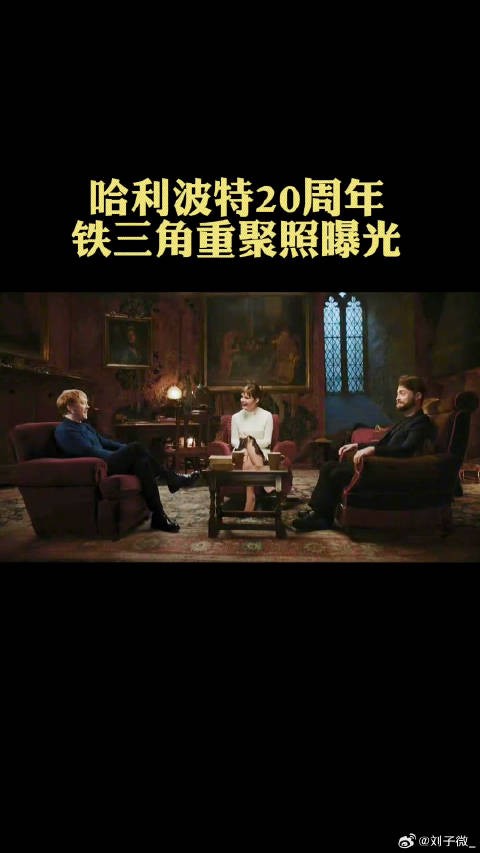 赫敏 哈利波特铁三角重聚