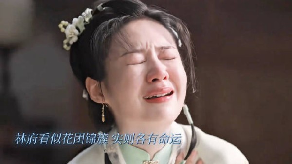 千红一窟，万艳同悲