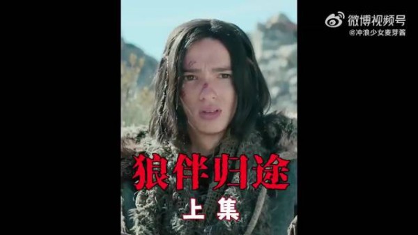 男孩仅凭一个善举,竟驯服了历史上第一只狼犬!剧情片