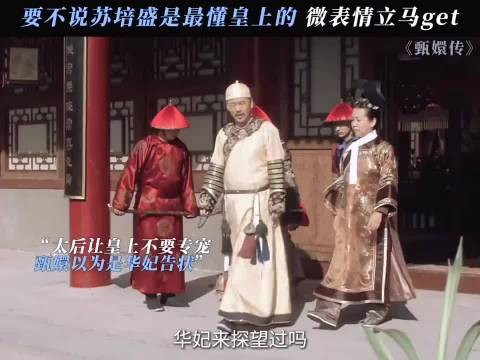 大胖橘想什么，苏妃全知道