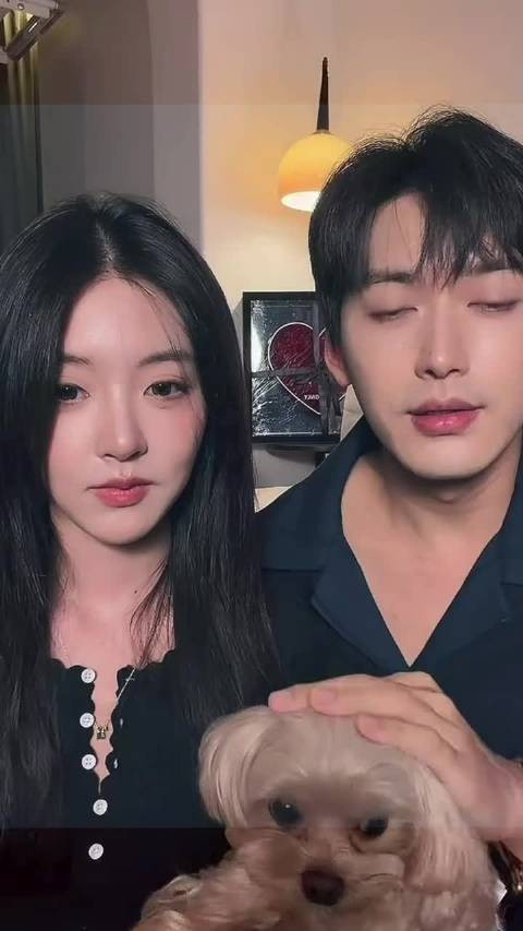 四季三餐两人一狗,其实浪漫的不是四季而是你和我在一块 柳周cp