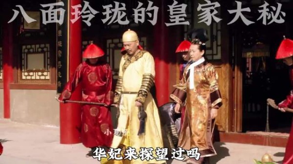 苏培盛三句话下了丽嫔的绿头牌 为皇上清障 替太监圈儿出气