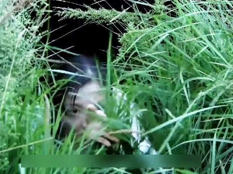 女孩仅凭一人之力智斗鬼子整个神枪小队