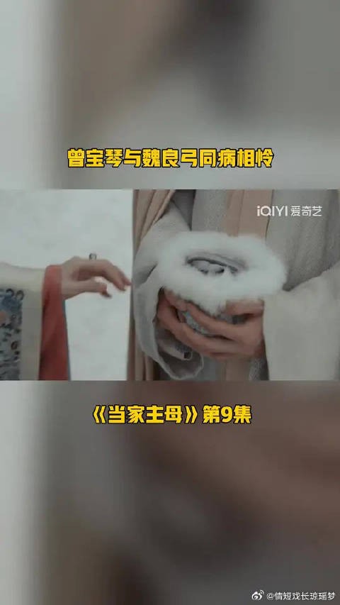 曾宝琴与魏良弓同病相怜