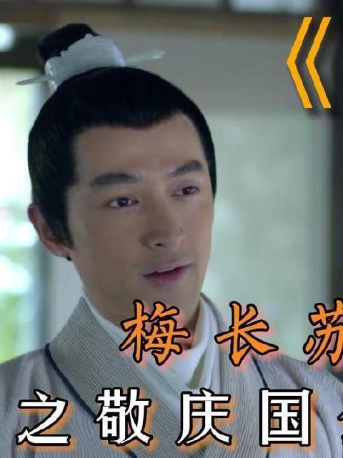 梅长苏再遇刺杀--景睿将何去何从