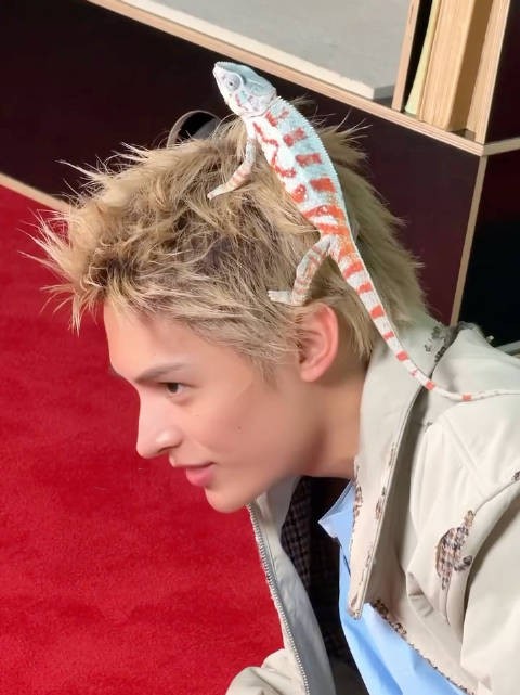 男子与蜥蜴互动,小心翼翼维持姿势怕惊扰