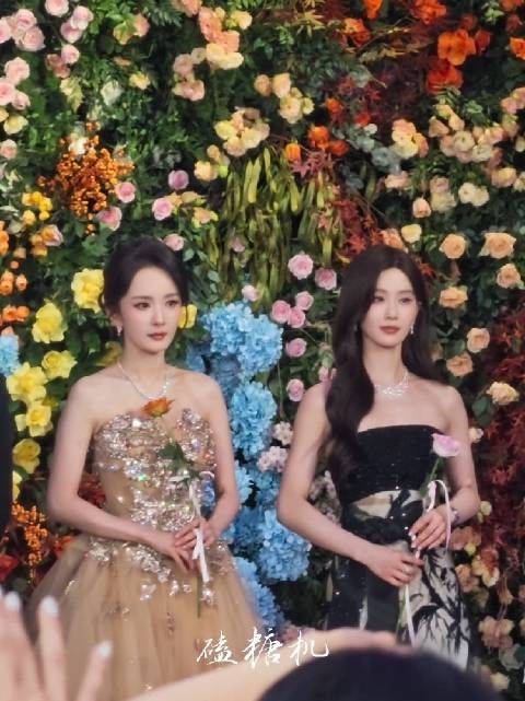 杨幂 刘诗诗 今日百花奖同框 我的两个女神 忍不住啊啊啊