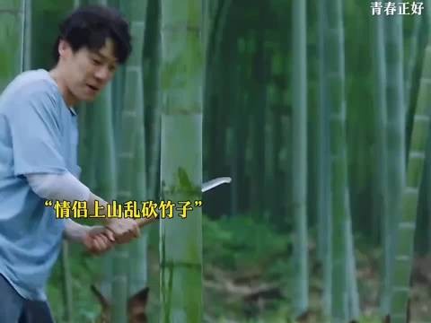 随便砍人竹子还有理了?