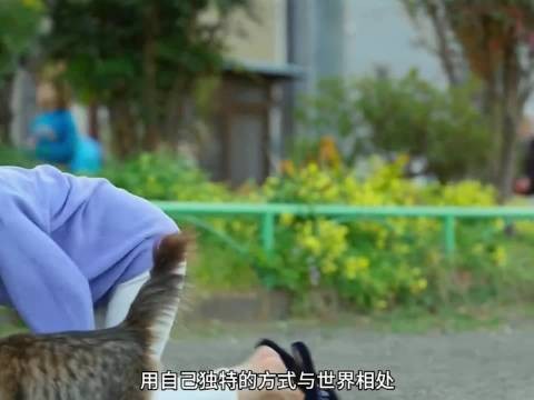 她曾是风俗小姐，为流浪老人分享晚餐带回家