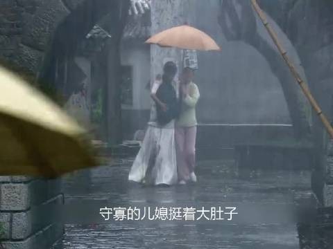 儿媳助婆婆与相好离开,男人却疑断财路,决意报复!
