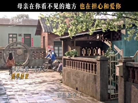 曹信不知母亲爱他,霍青莲与曹家因换子矛盾