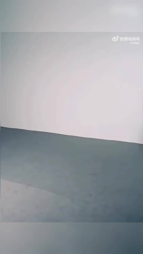 “刘亦菲与众女星回望20年前的本人”