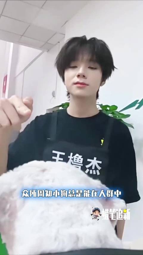 小狗总是能在人群中精准找出怕它的人 TF家族四代 | 王橹杰