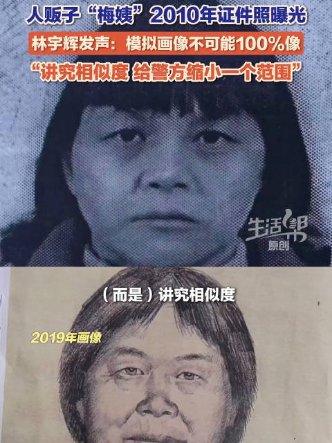 林宇辉回应画像和梅姨本人不像 :无法100%还原